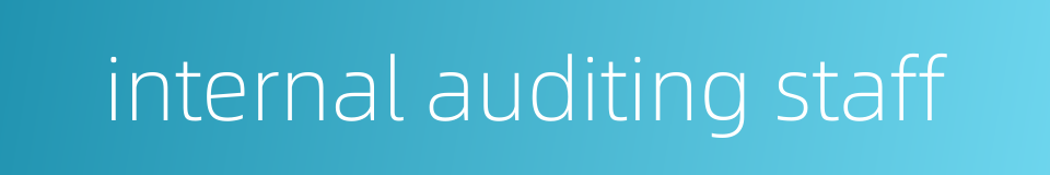 internal auditing staff的同义词