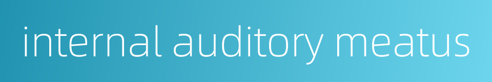 internal auditory meatus的同义词