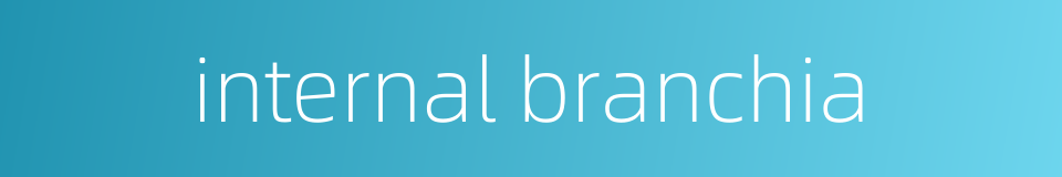 internal branchia的同义词