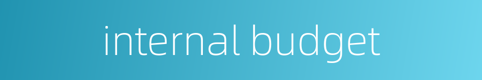 internal budget的同义词