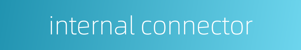 internal connector的同义词