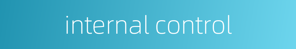 internal control的同义词