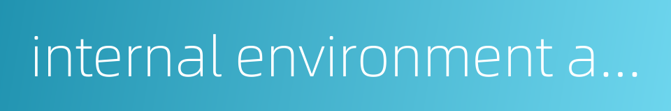 internal environment analysis的同义词