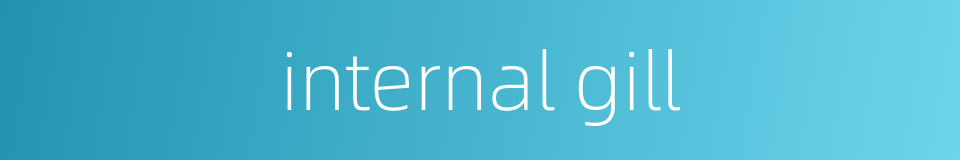 internal gill的同义词