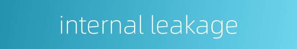 internal leakage的同义词