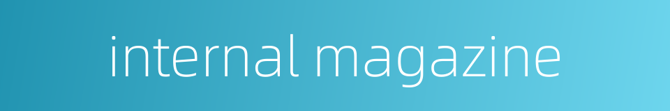 internal magazine的同义词
