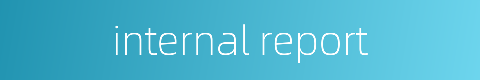 internal report的同义词