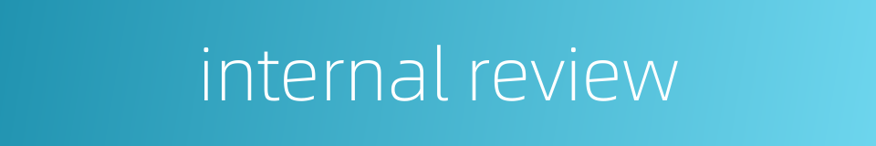 internal review的同义词