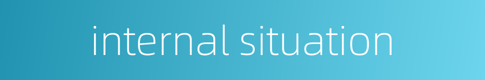 internal situation的同义词