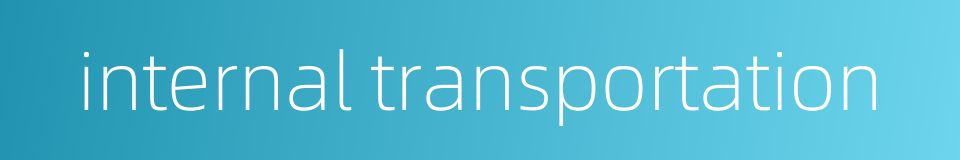 internal transportation的同义词