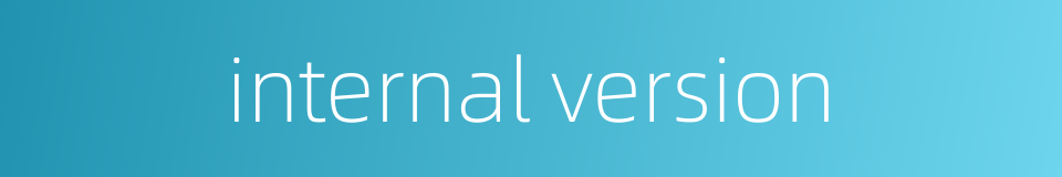internal version的同义词