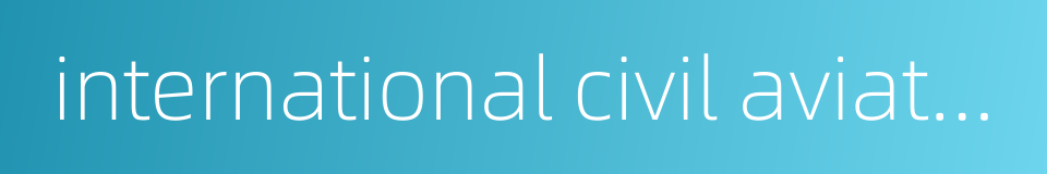 international civil aviation organization的同义词