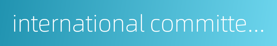 international committee of the red cross的同义词