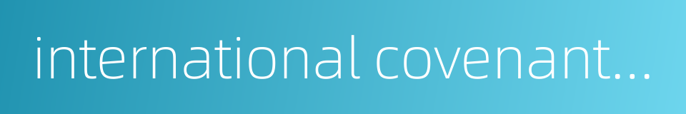 international covenants of human rights的同义词