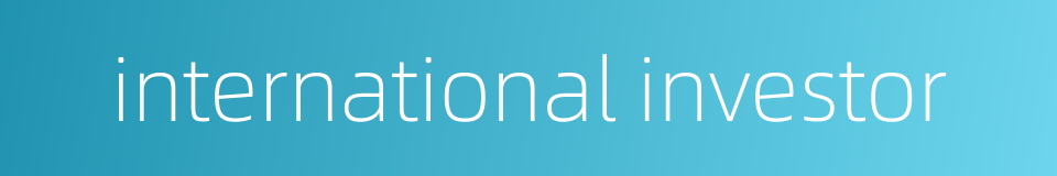 international investor的同义词