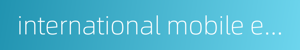 international mobile equipment identity的同义词