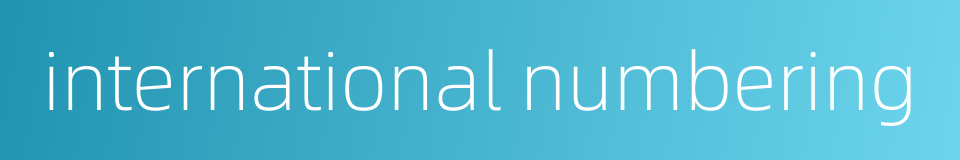 international numbering的同义词