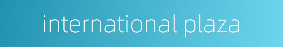 international plaza的同义词