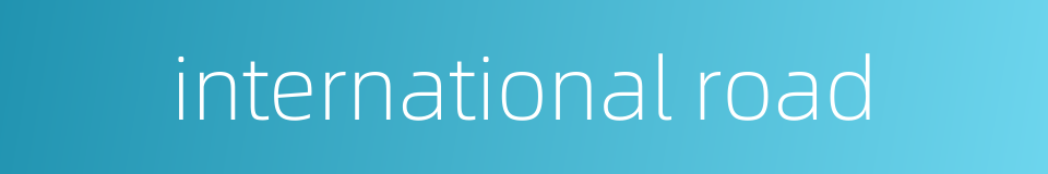 international road的同义词