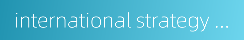 international strategy of the enterprise的同义词