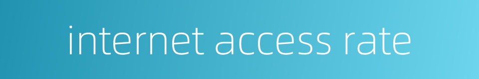 internet access rate的同义词