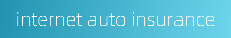 internet auto insurance的同义词