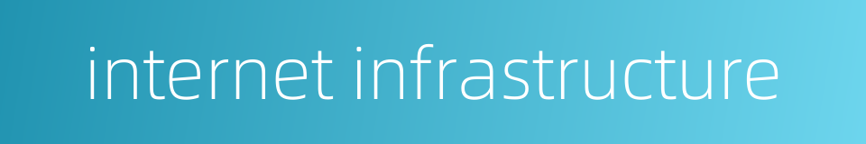 internet infrastructure的同义词