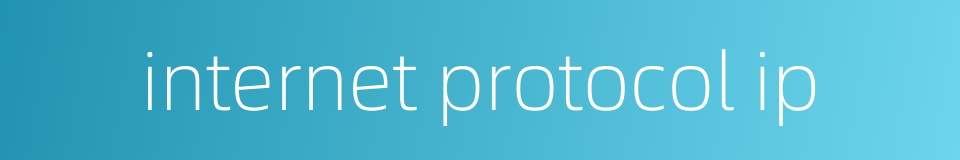 internet protocol ip的同义词