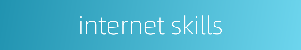 internet skills的同义词