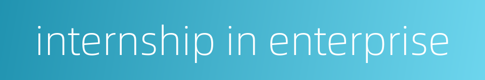 internship in enterprise的同义词