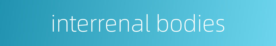 interrenal bodies的同义词