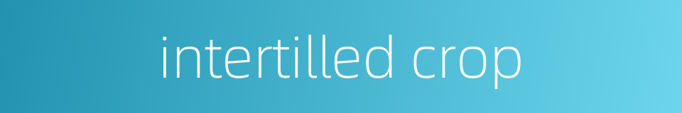 intertilled crop的同义词
