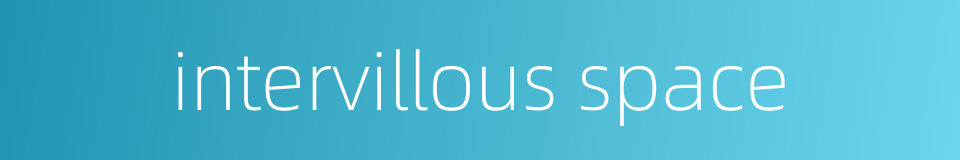 intervillous space的同义词