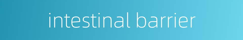 intestinal barrier的同义词