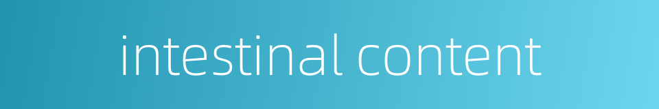 intestinal content的同义词