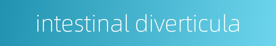 intestinal diverticula的同义词