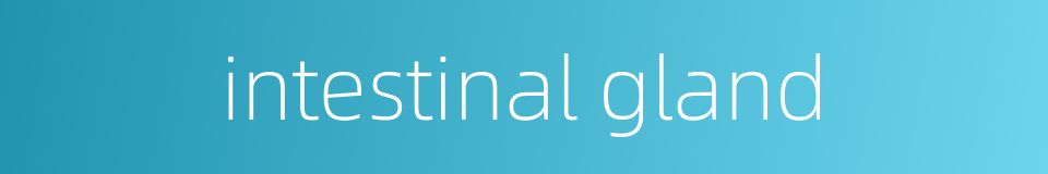 intestinal gland的同义词