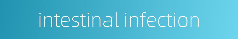intestinal infection的同义词