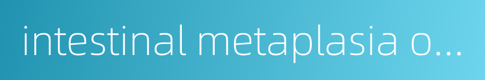 intestinal metaplasia of gastric epithelium的同义词