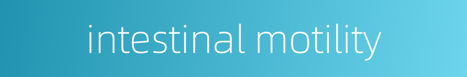 intestinal motility的同义词