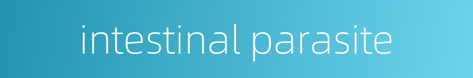 intestinal parasite的同义词