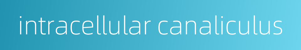 intracellular canaliculus的同义词
