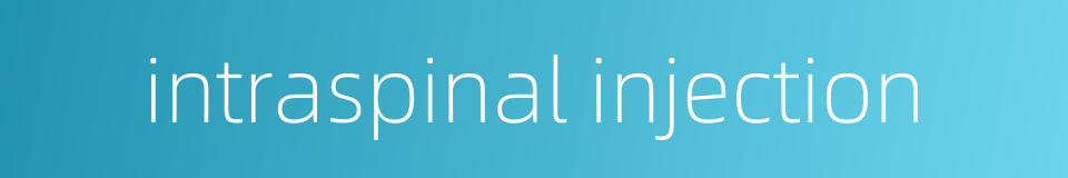 intraspinal injection的同义词
