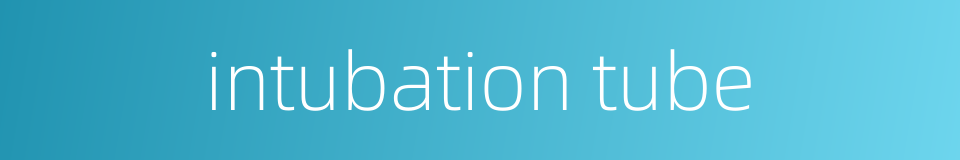 intubation tube的同义词