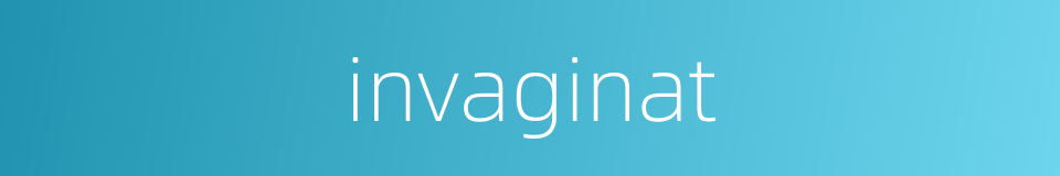 invaginat的同义词