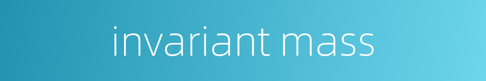 invariant mass的同义词