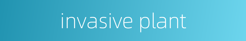 invasive plant的同义词