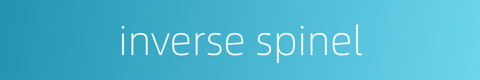 inverse spinel的同义词