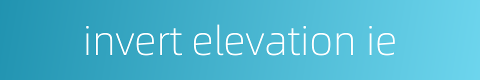 invert elevation ie的同义词