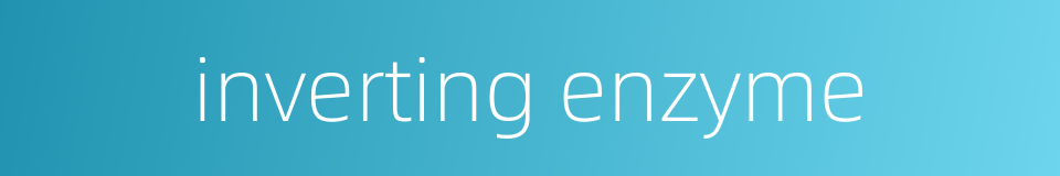 inverting enzyme的同义词